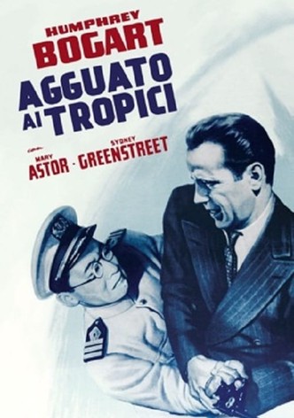 Agguato ai tropici