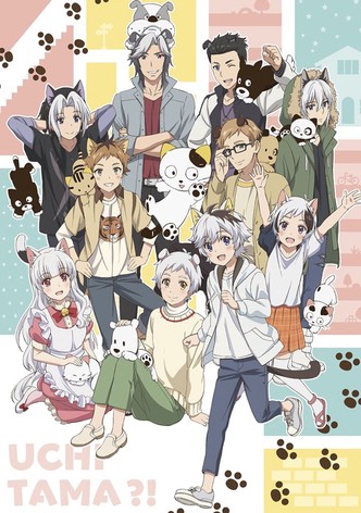 家有圆圆？！ ～我家的圆圆你知道吗？～