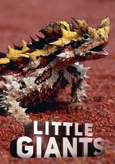 Little Giants - Little Giants