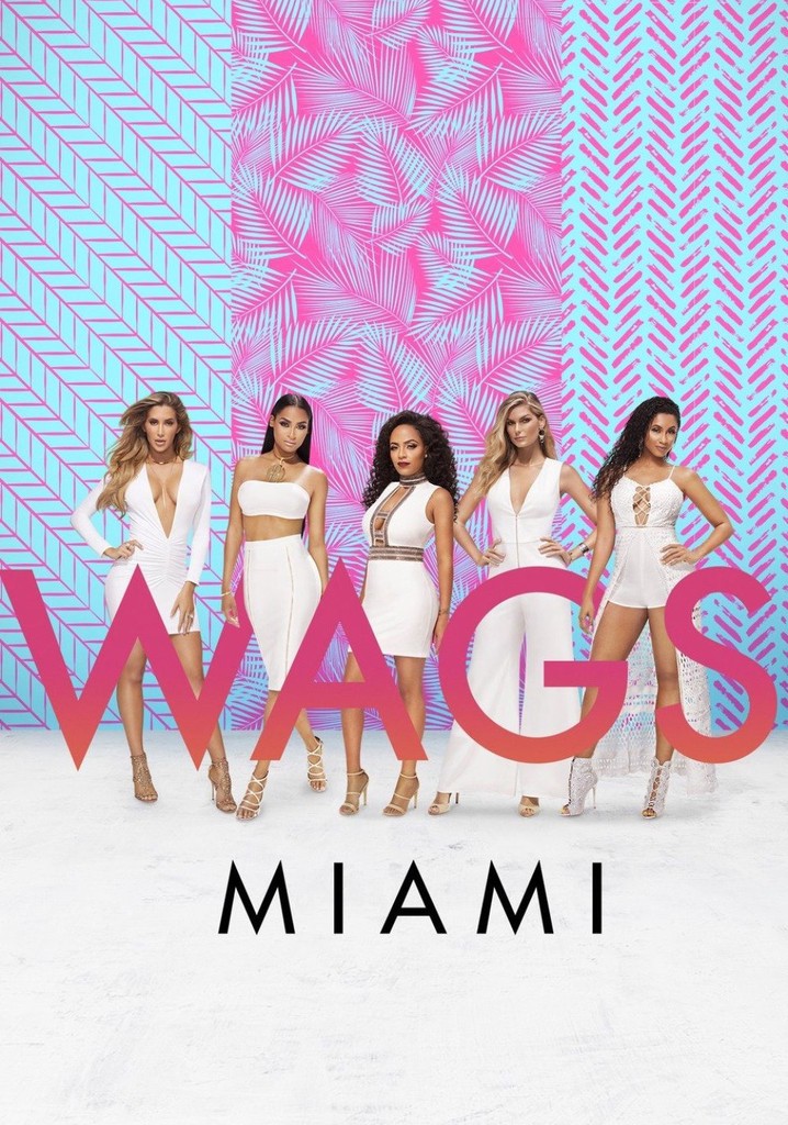 Wags Miami Where Are They Now 2021 Où regarder la série WAGS Miami en streaming