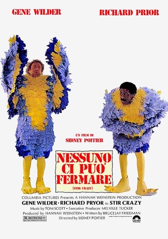 Nessuno ci può fermare