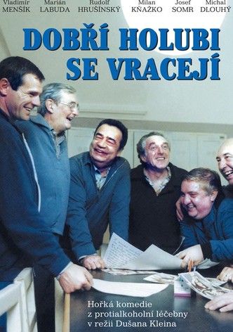 Dobří holubi se vracejí