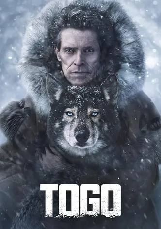Togo poster