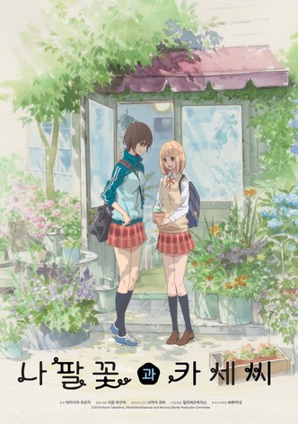 나팔꽃과 카세씨