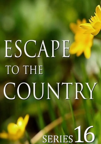 Escape to the Country streaming tv series online
