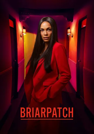 Briarpatch poster