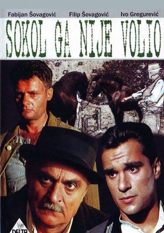 Sokol Did Not Love Him