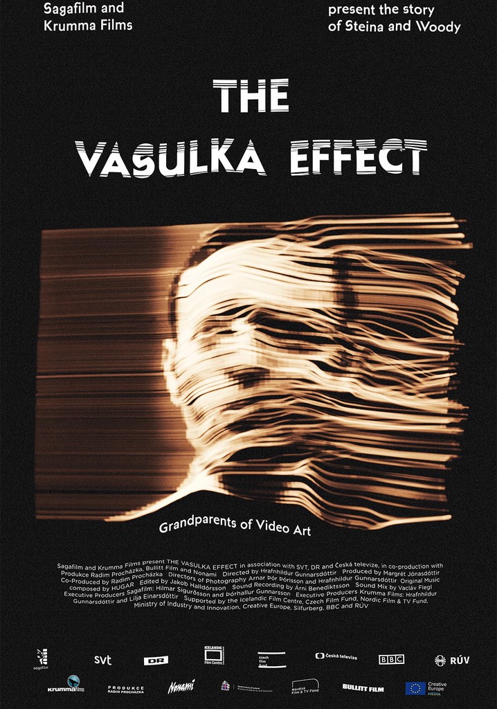 The Vasulka Effect