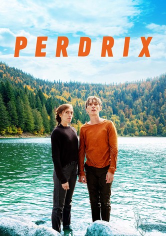 Perdrix