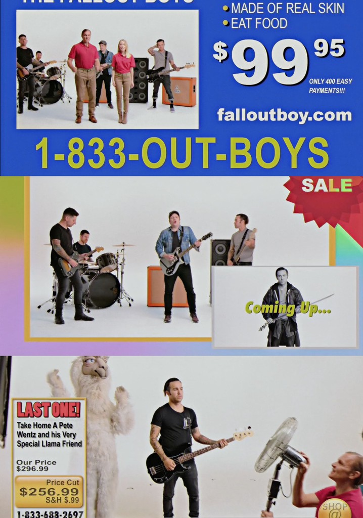 Fall Out Boy: Wilson (Expensive Mistakes)