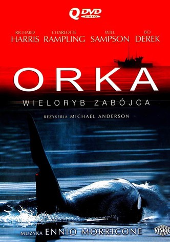 Orka. Wieloryb zabójca