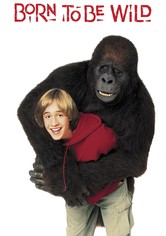 Gorilla auf der Flucht