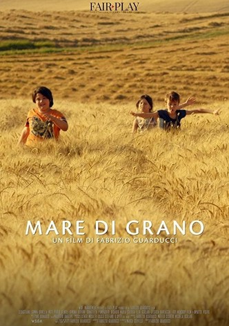 Mare di grano