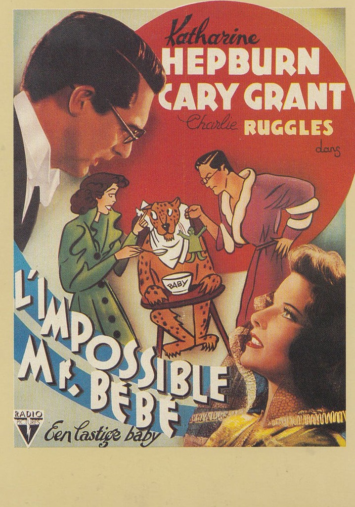 Regarder L Impossible Monsieur Bebe En Streaming
