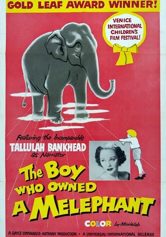 The Boy Who Owned a Melephant
