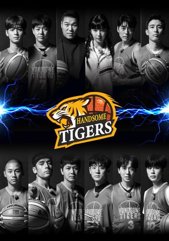 Handsome Tigers