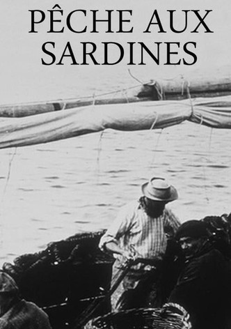Sardine Fishing