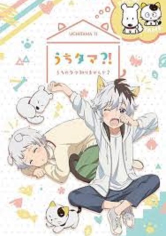 TENSAI OUJI NO AKAJI ¿2ª TEMPORADA? 