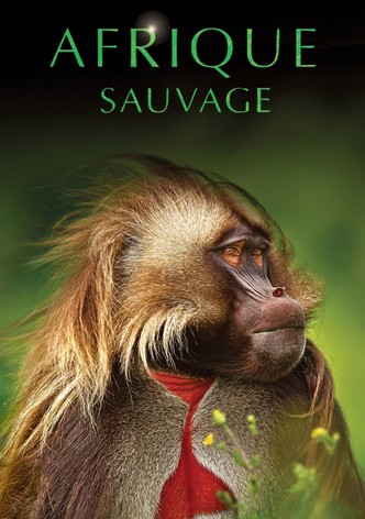 Afrique sauvage