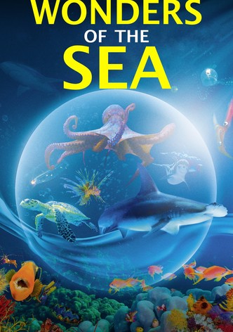 Wonders of the Sea
