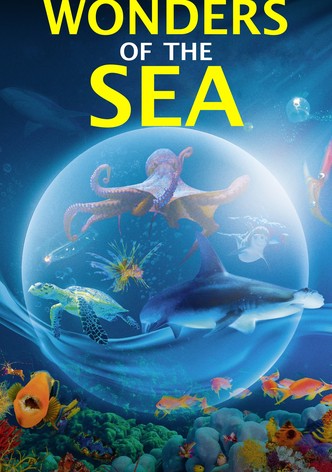 Wonders of the Sea 3D