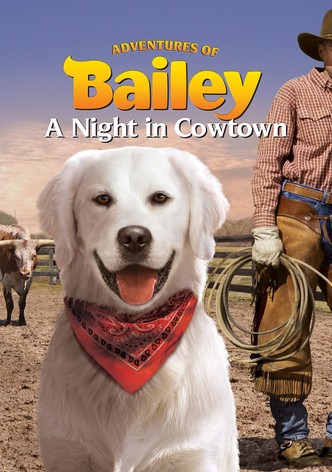 Adventures of Bailey: A Night in Cowtown