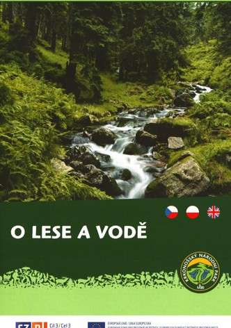 The Forest and Water