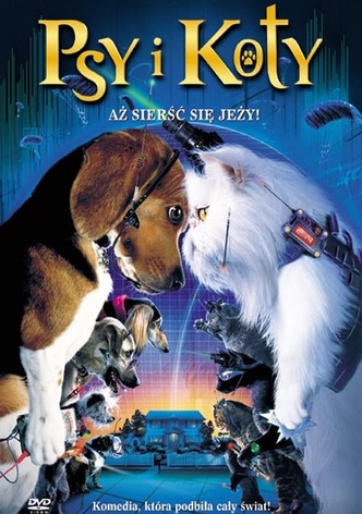 Psy i koty
