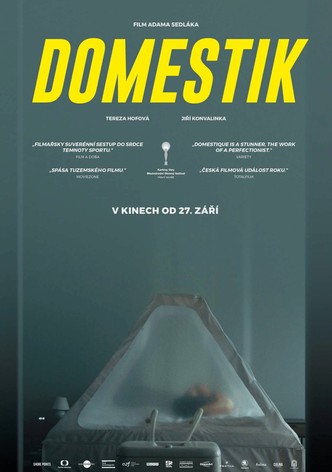 Domestik