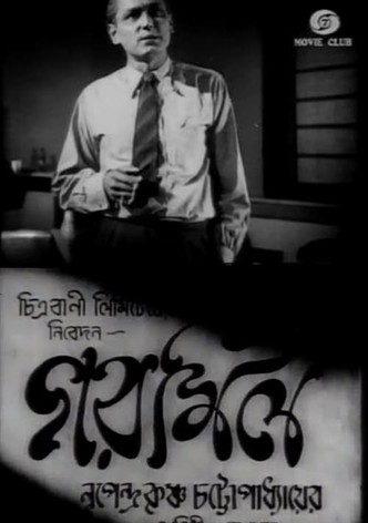 গরমিল