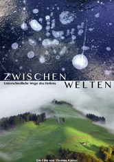Zwischenwelten - Unterschiedliche Wege des Heilens