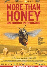 Un mondo in pericolo