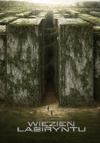 Więzień labiryntu