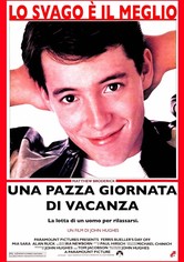 Una pazza giornata di vacanza