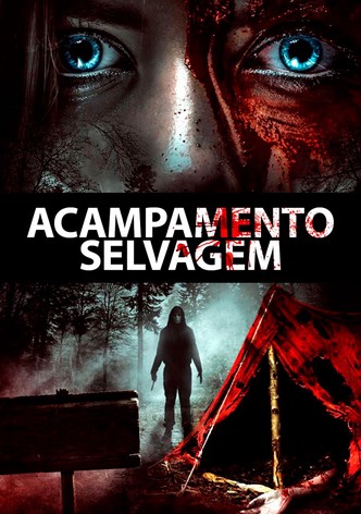 Acampamento selvagem