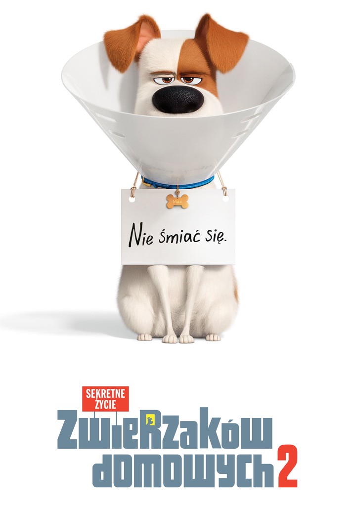 Sekretne życie Zwierzaków Domowych Plan Lekcji www.justwatch.com