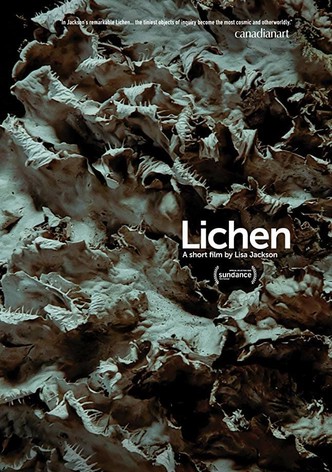 Lichen