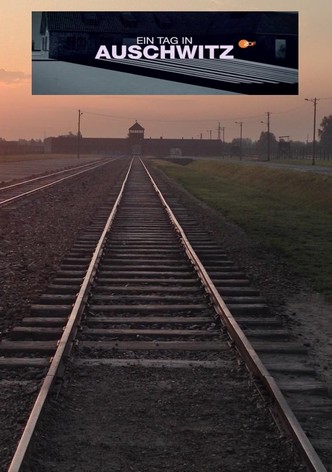 Ein Tag in Auschwitz