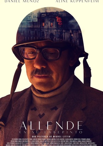 Allende en su laberinto