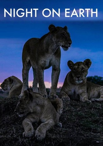 Notte sul pianeta terra