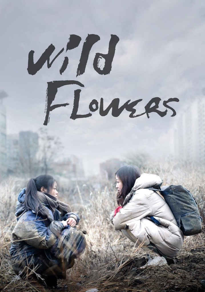 Wild Flowers