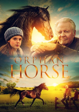 Orphan Horse