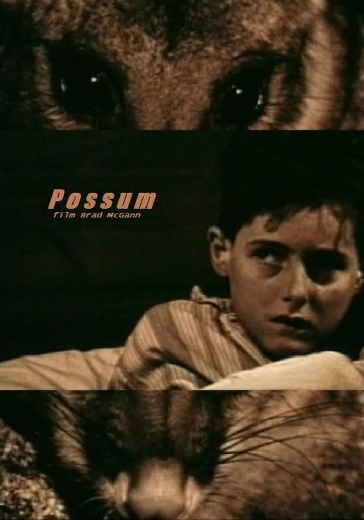 Possum