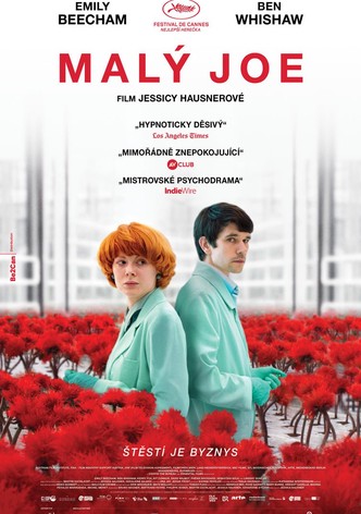 Malý Joe
