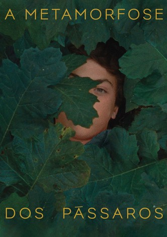 A Metamorfose dos Pássaros