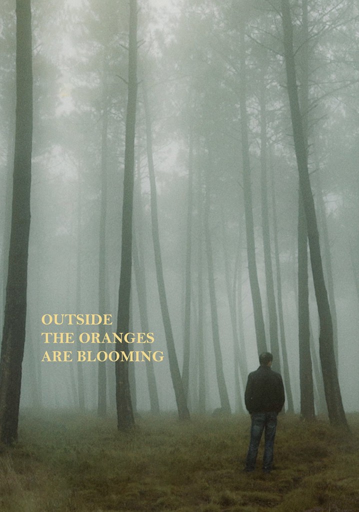 Outside the Oranges Are Blooming