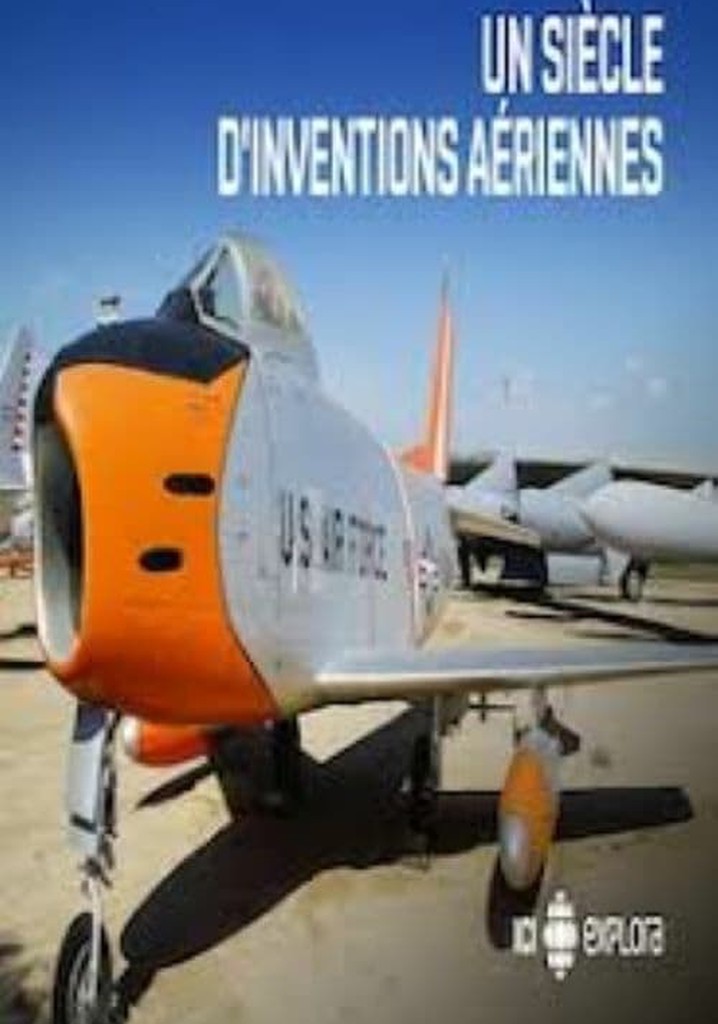 Survival In The Skies