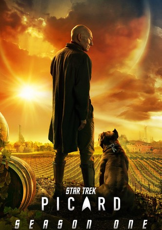 Star trek picard online free new arrivals