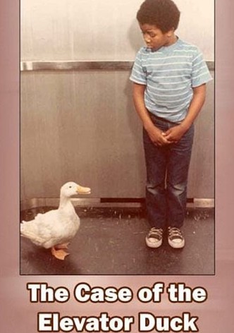 The Case of the Elevator Duck