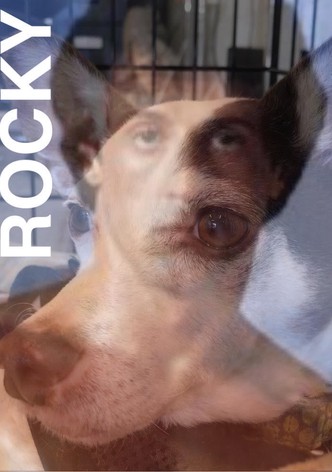 ROCKY